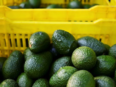 A bag of Avocados